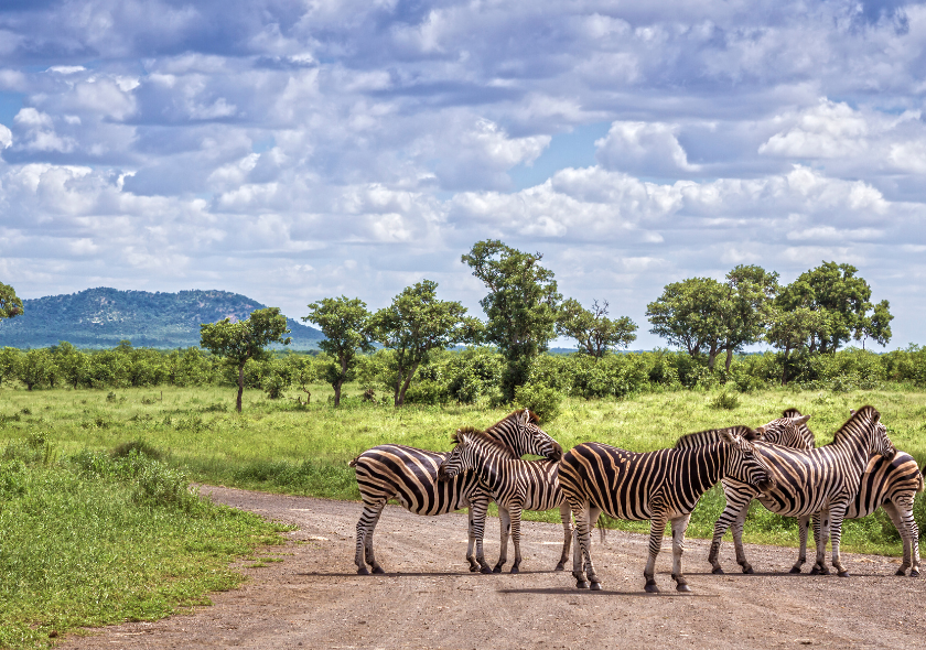 Kruger National Park